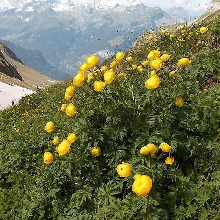 Ostello Berghaus Manndlenen- Weberhutte